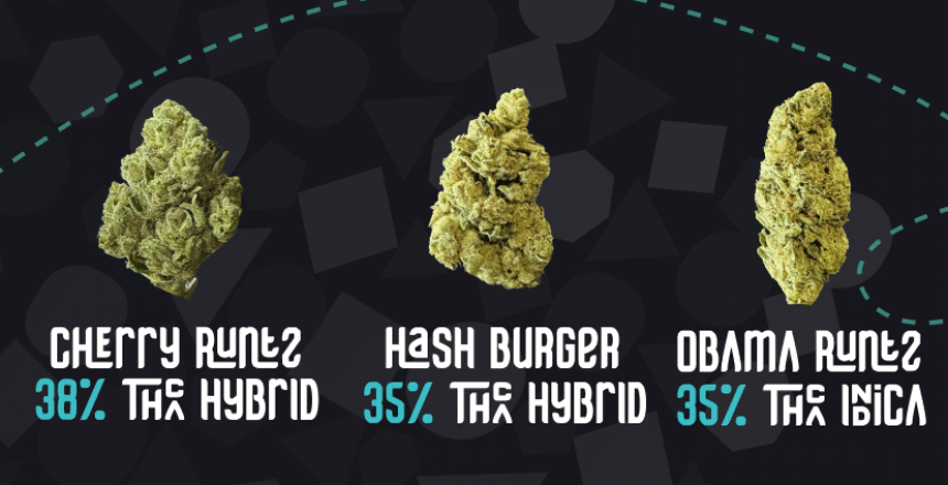 Best THCA Flower
