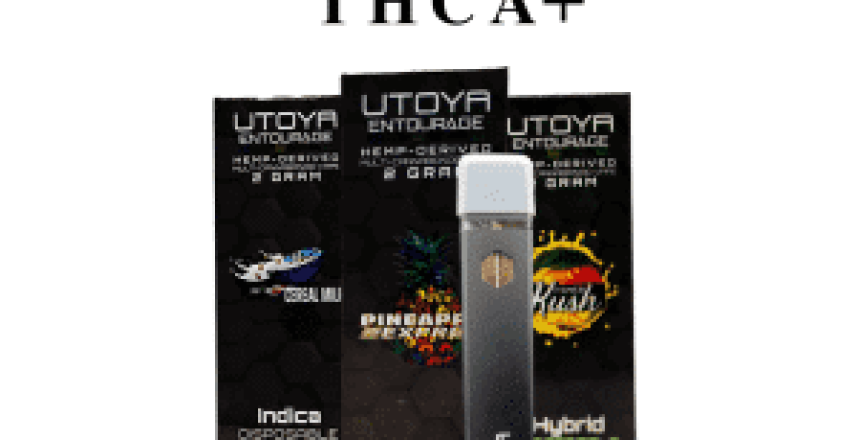 THCA vs THC Which Is Stronger
