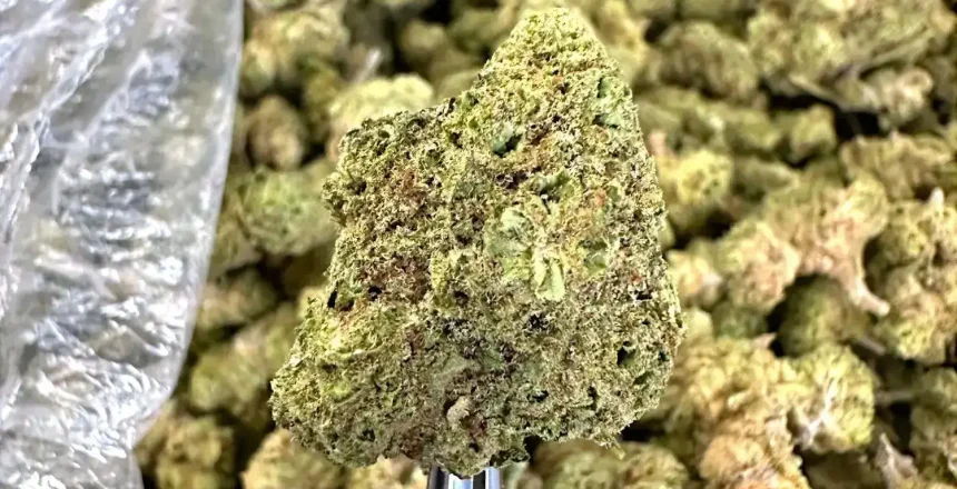 THCa Flower Pound