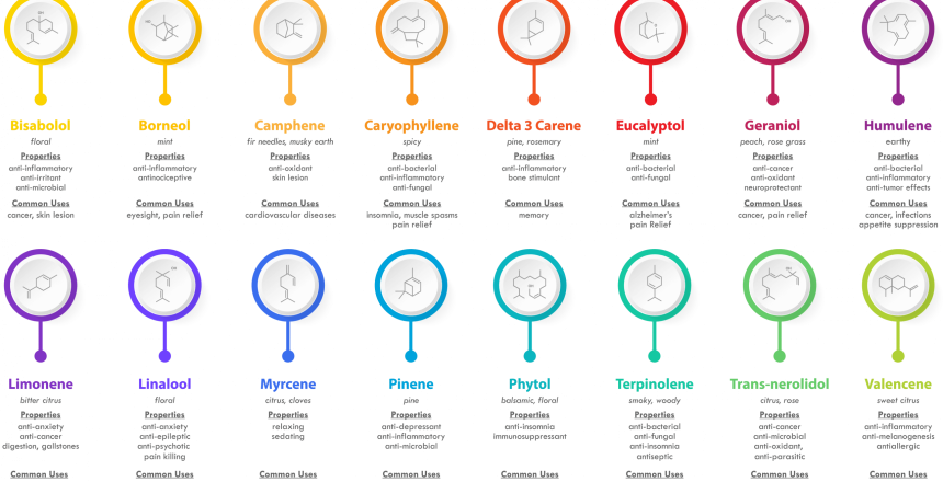 Terpenes-in-Hemp